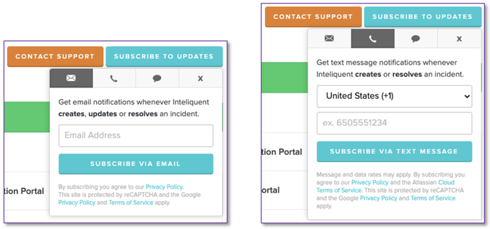 Screen Shot 2021-08-30 at 3.04.34 PM